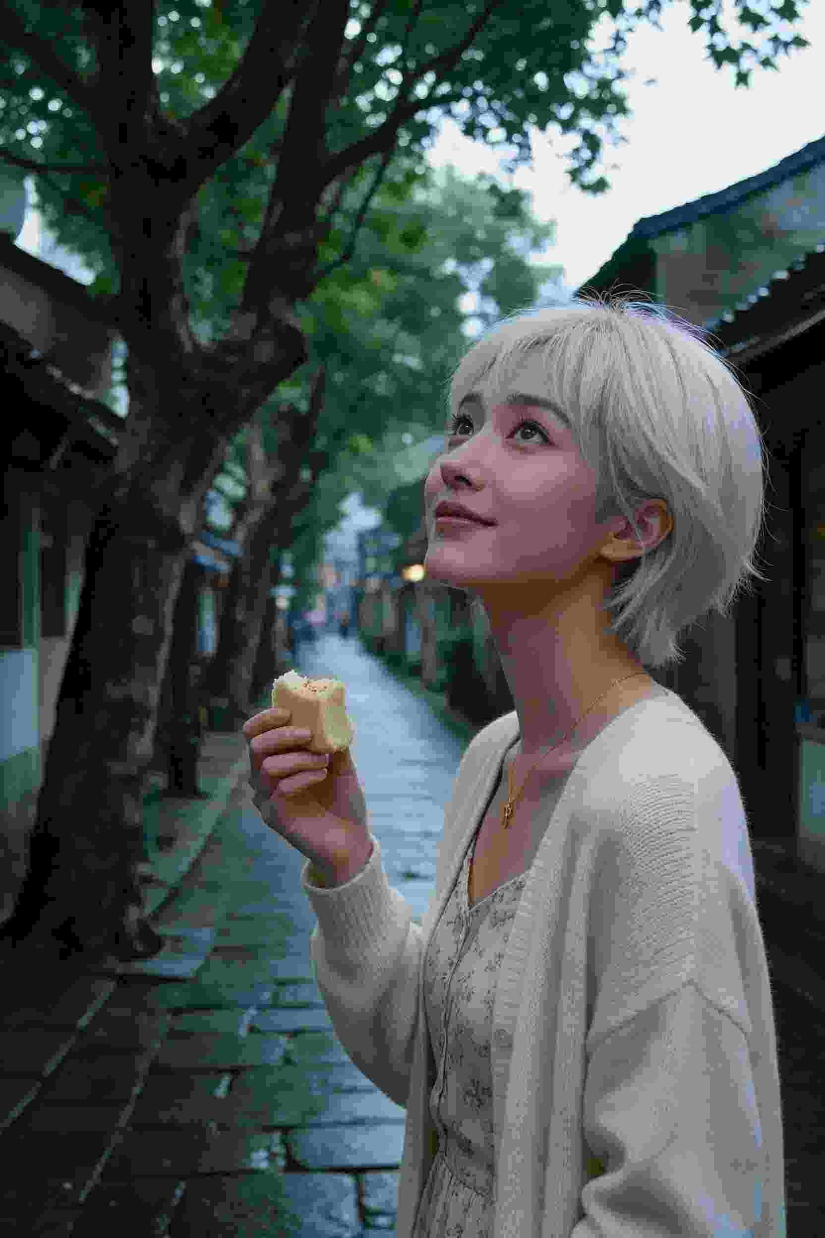 校园风云